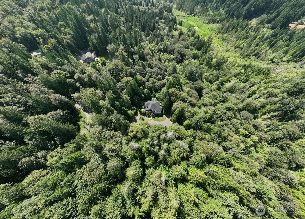 26020 SE Old Black Nugget Road Issaquah, WA 98029