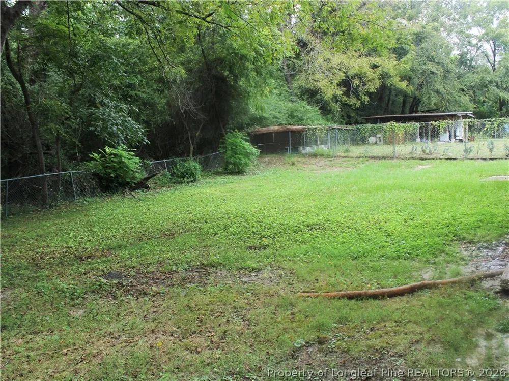 2406 W Brinkley Drive Spring Lake, NC 28390