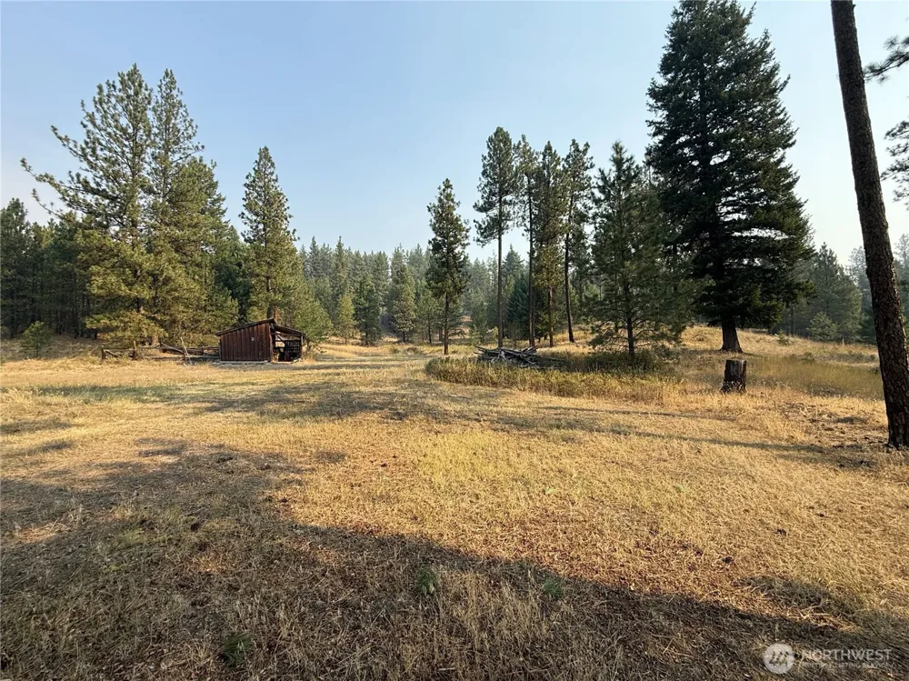 245 Klondike Road Republic, WA 99166