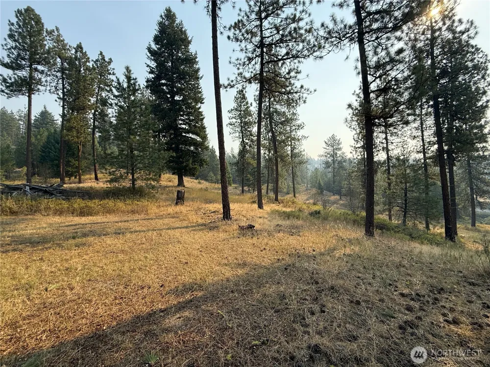 245 Klondike Road Republic, WA 99166