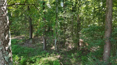 Fezzell Road