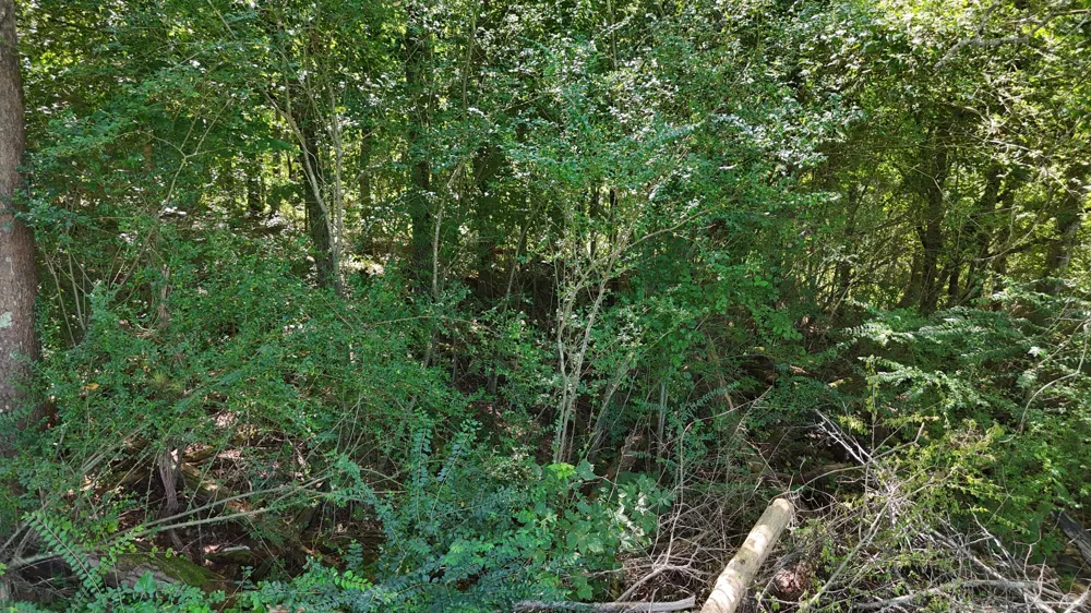 Fezzell Road Decatur, TN 37322