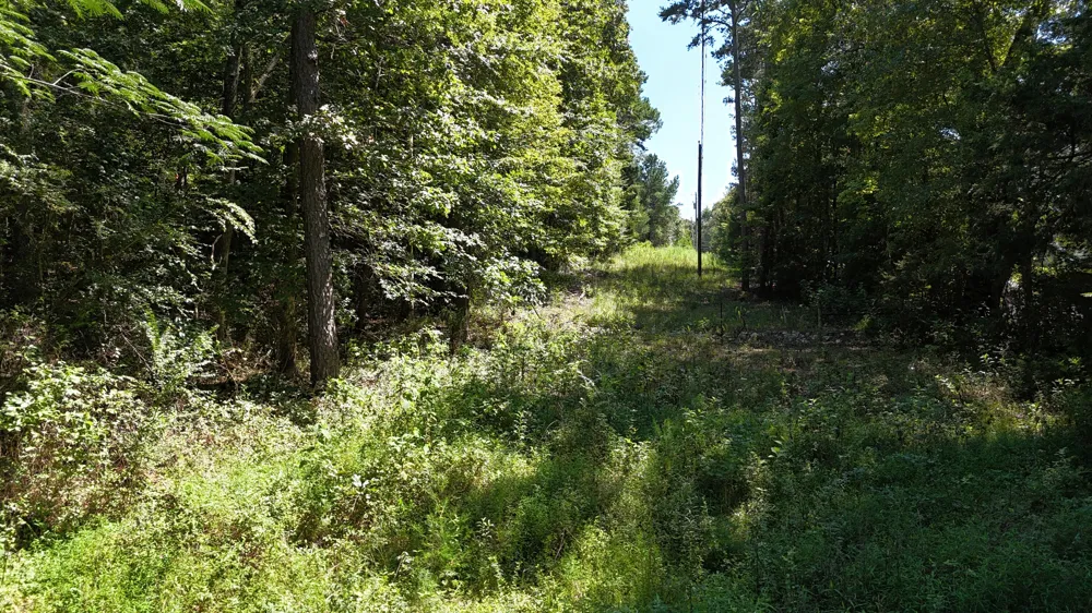 Fezzell Road Decatur, TN 37322