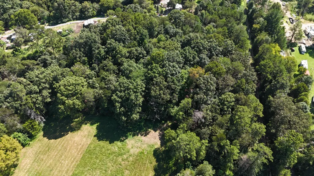 Fezzell Road Decatur, TN 37322