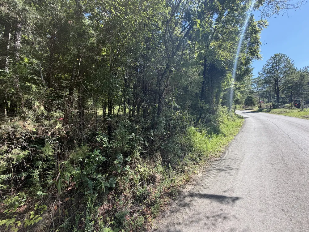 Fezzell Road Decatur, TN 37322