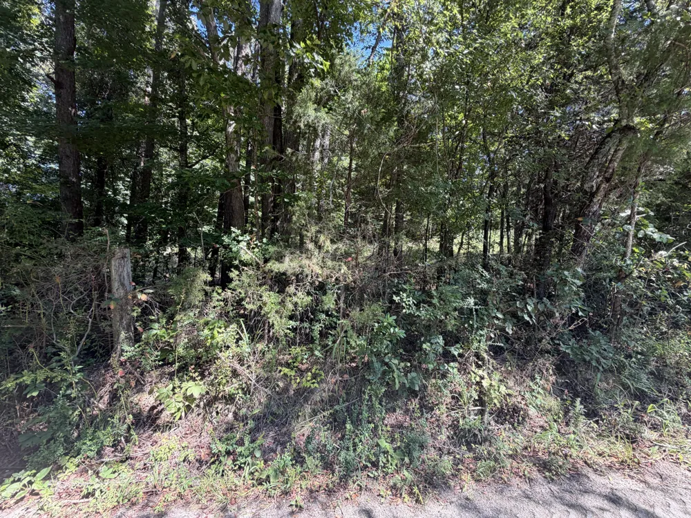 Fezzell Road Decatur, TN 37322