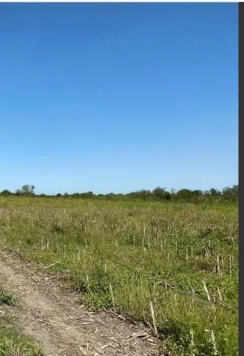 4 Bois D Arc Road Manor, TX 78653
