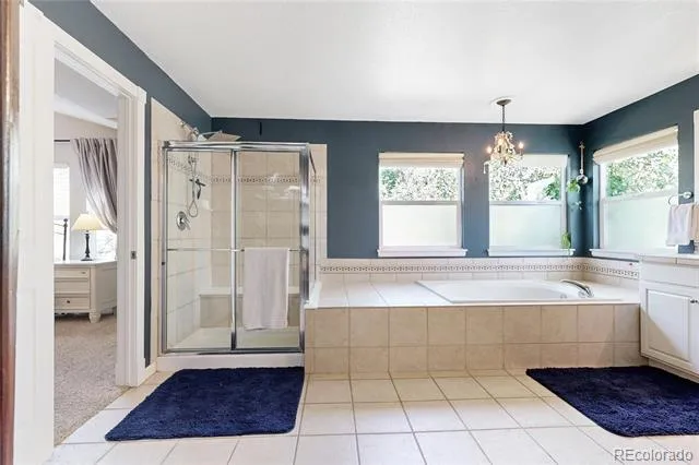 10727 Addison Court Highlands Ranch, CO 80126