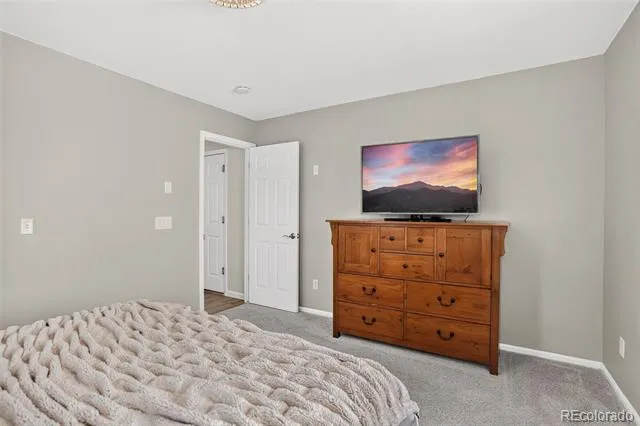1363 Yellow Granite Way Monument, CO 80132