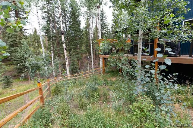 11203 S Barney Gulch Road Conifer, CO 80433