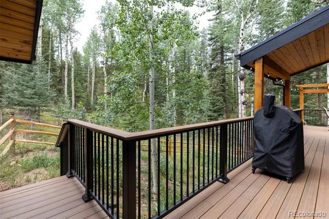 11203 S Barney Gulch Road Conifer, CO 80433