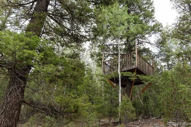 11203 S Barney Gulch Road Conifer, CO 80433