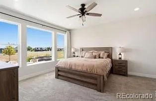 9251 Meadow Farms Drive Milliken, CO 80543