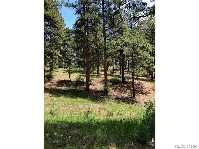 442 Quarter Circle Lane Evergreen, CO 80439