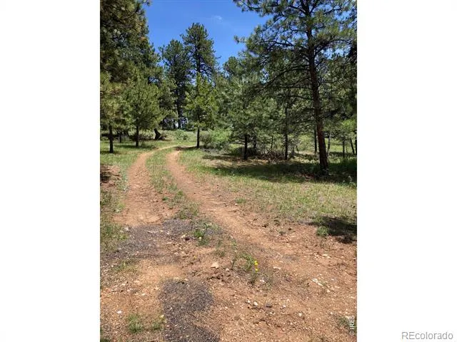 442 Quarter Circle Lane Evergreen, CO 80439