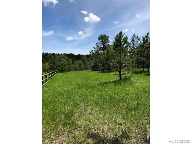 442 Quarter Circle Lane Evergreen, CO 80439