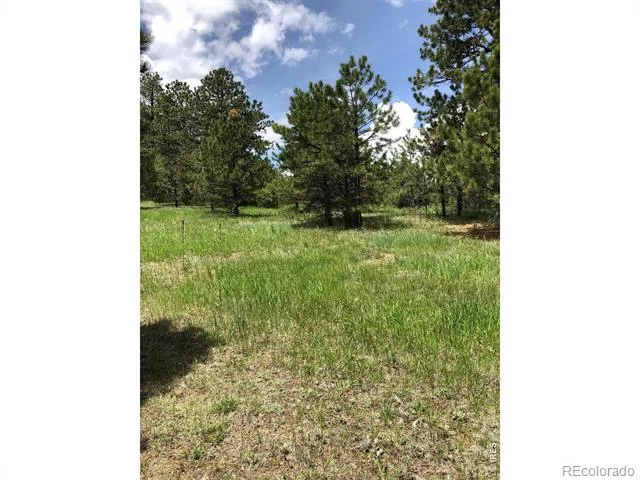 442 Quarter Circle Lane Evergreen, CO 80439