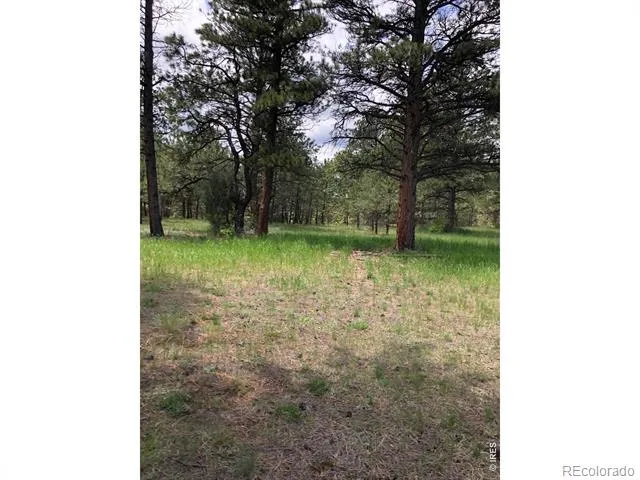 442 Quarter Circle Lane Evergreen, CO 80439
