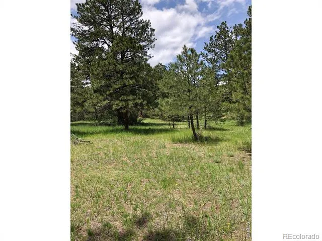 442 Quarter Circle Lane Evergreen, CO 80439