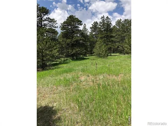 442 Quarter Circle Lane Evergreen, CO 80439