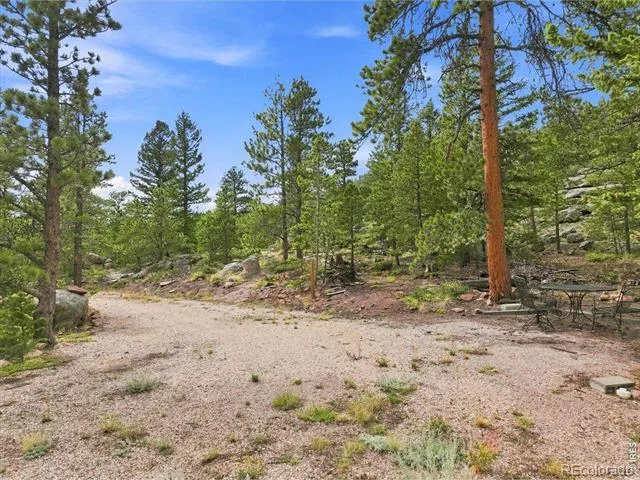 78 Wenro Court Red Feather Lakes, CO 80545