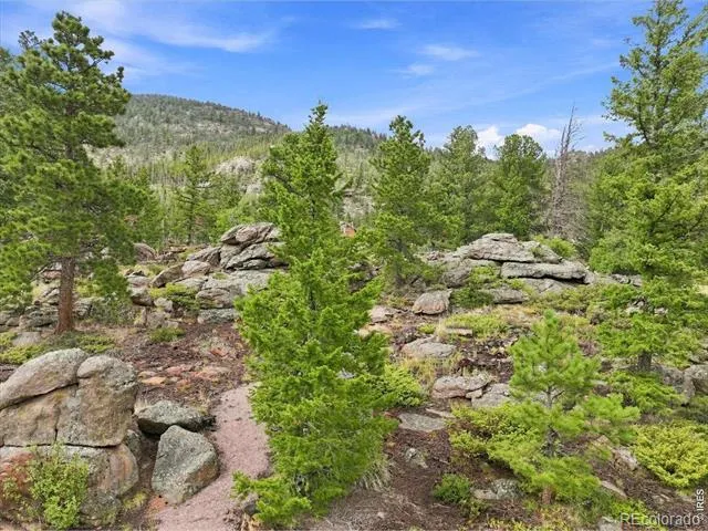 78 Wenro Court Red Feather Lakes, CO 80545