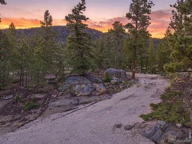 78 Wenro Court Red Feather Lakes, CO 80545