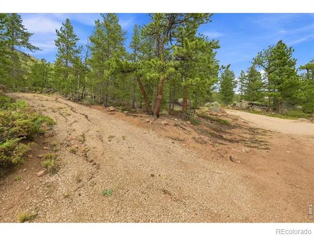 78 Wenro Court Red Feather Lakes, CO 80545