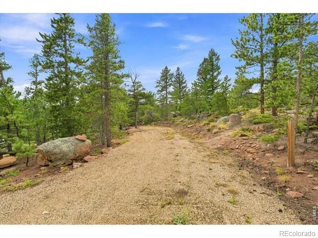 78 Wenro Court Red Feather Lakes, CO 80545