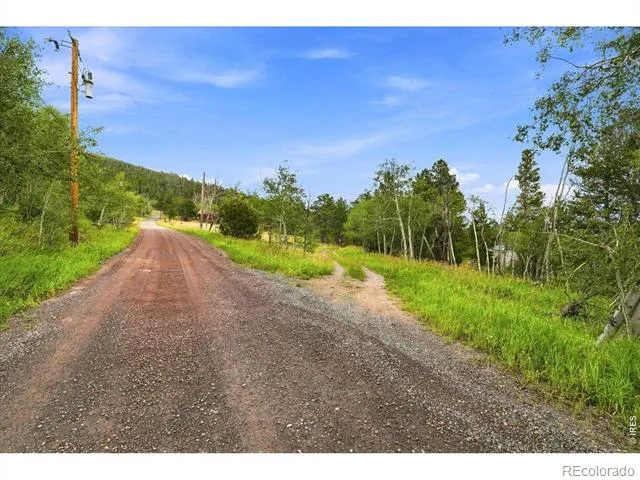 78 Wenro Court Red Feather Lakes, CO 80545