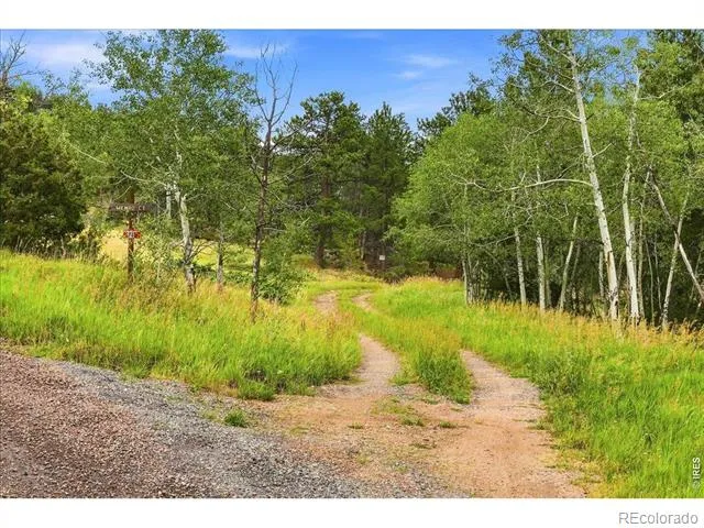 78 Wenro Court Red Feather Lakes, CO 80545