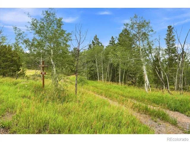 78 Wenro Court Red Feather Lakes, CO 80545