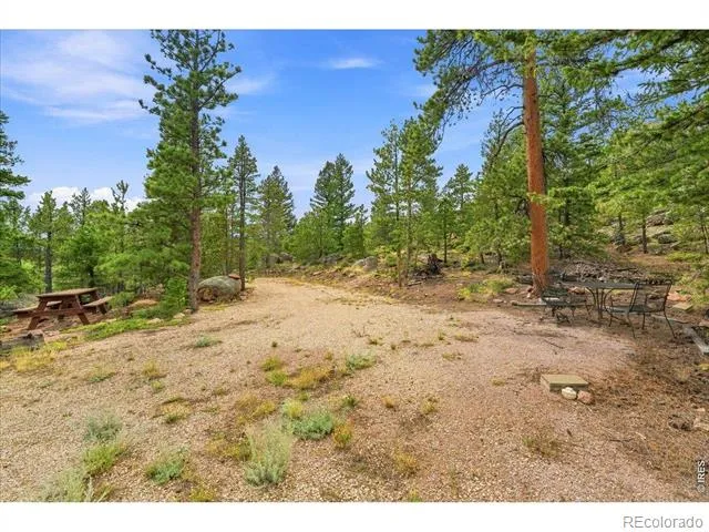 78 Wenro Court Red Feather Lakes, CO 80545