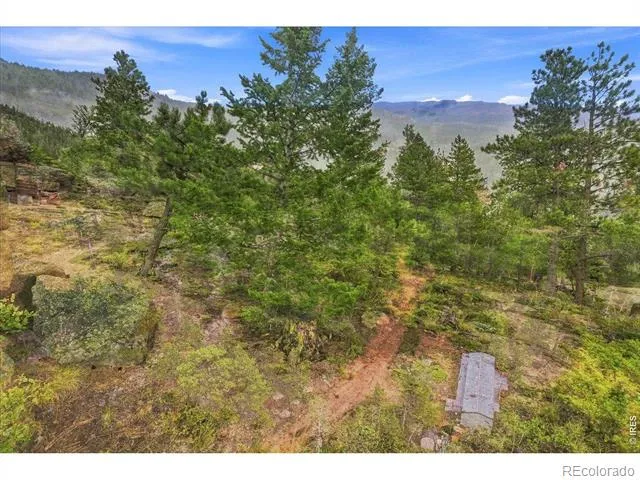 78 Wenro Court Red Feather Lakes, CO 80545