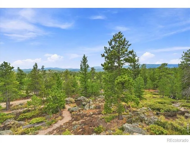 78 Wenro Court Red Feather Lakes, CO 80545