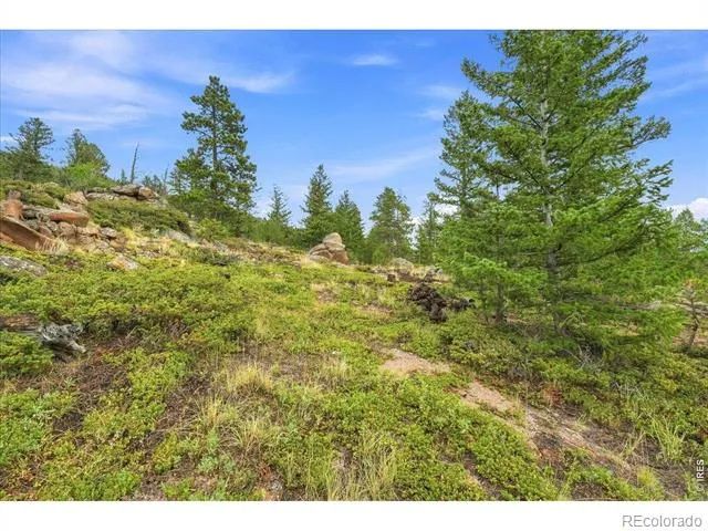 78 Wenro Court Red Feather Lakes, CO 80545