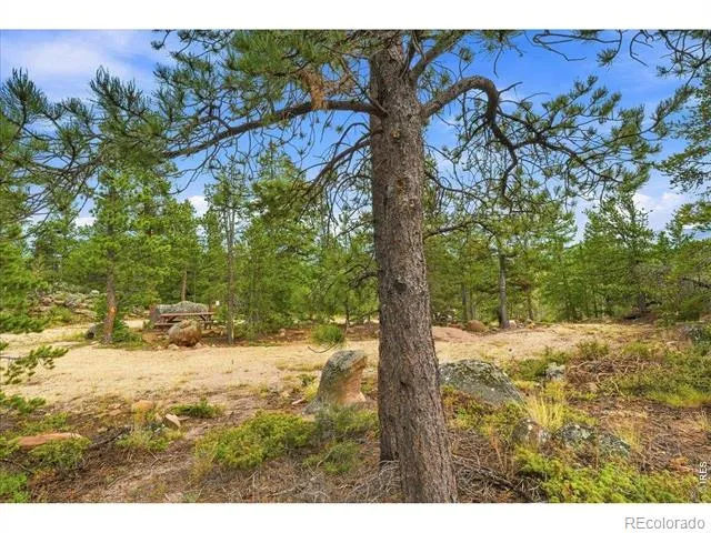 78 Wenro Court Red Feather Lakes, CO 80545