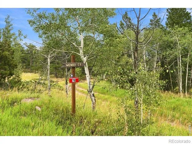 78 Wenro Court Red Feather Lakes, CO 80545