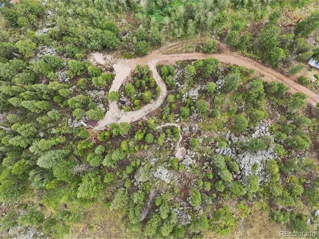 78 Wenro Court Red Feather Lakes, CO 80545