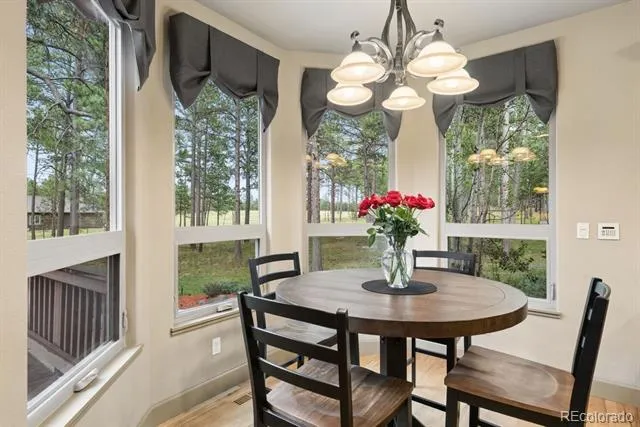 14953 Snowy Pine Point Colorado Springs, CO 80908