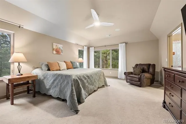 14953 Snowy Pine Point Colorado Springs, CO 80908