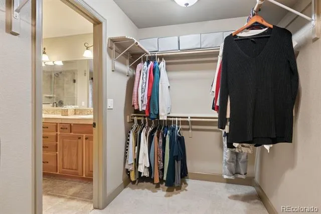 14953 Snowy Pine Point Colorado Springs, CO 80908