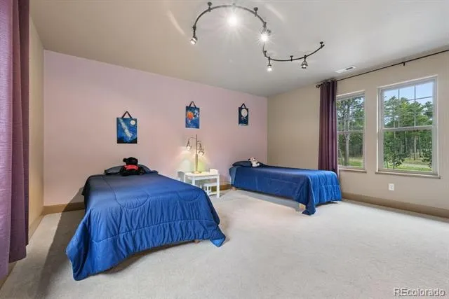 14953 Snowy Pine Point Colorado Springs, CO 80908