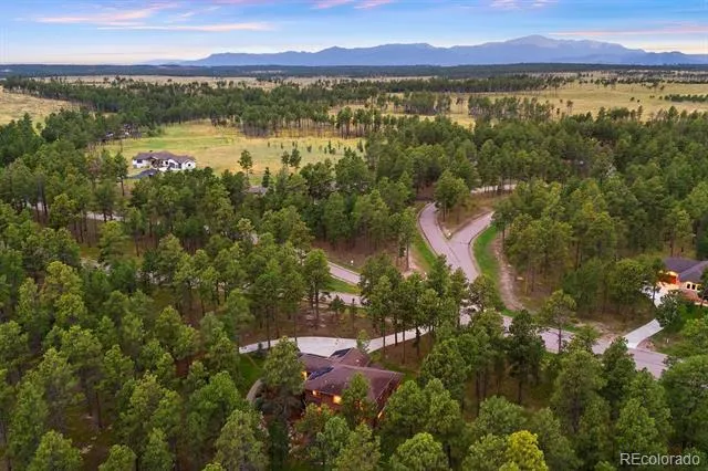14953 Snowy Pine Point Colorado Springs, CO 80908