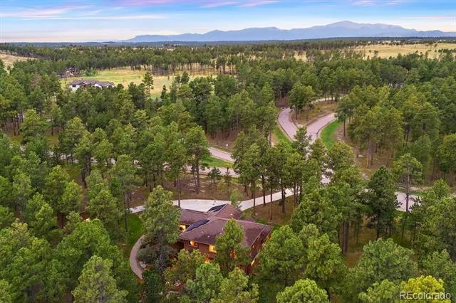 14953 Snowy Pine Point Colorado Springs, CO 80908