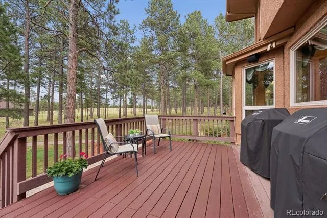 14953 Snowy Pine Point Colorado Springs, CO 80908