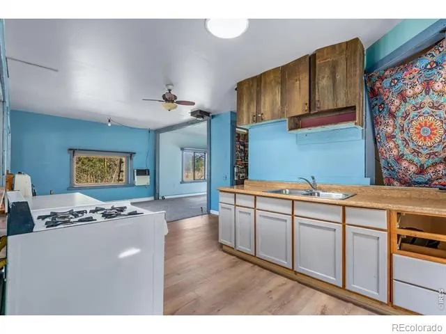 151 Columbine Drive Red Feather Lakes, CO 80545