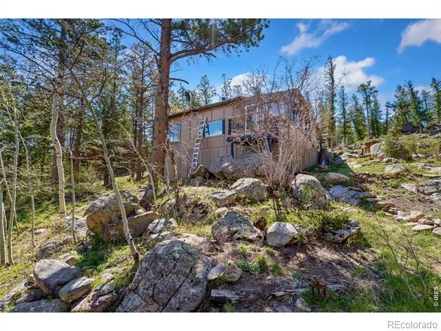 151 Columbine Drive Red Feather Lakes, CO 80545
