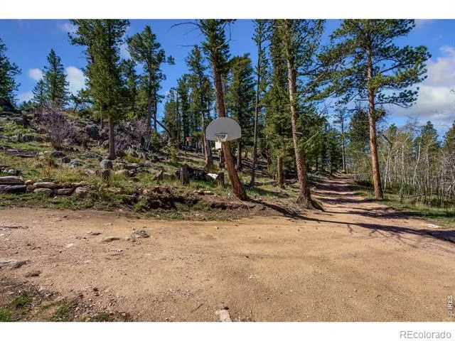 151 Columbine Drive Red Feather Lakes, CO 80545