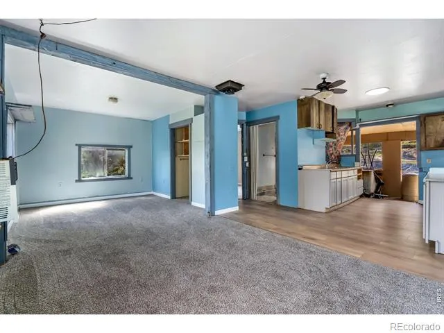 151 Columbine Drive Red Feather Lakes, CO 80545